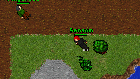 Sensom on screen