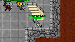 Terezona on screen