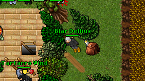 Blar Dellius on screen