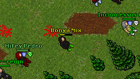 Bonya Mix on screen