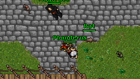 Phanderus on screen