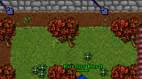 Kordor Kard on screen