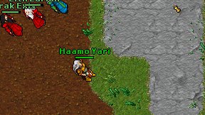 Haamo Yari on screen