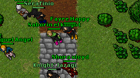 Fayre Happy on screen