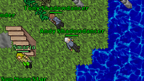 Andy Shadowdancer on screen