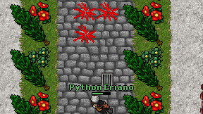 Python Eriano on screen
