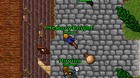 Memory Knight on screen