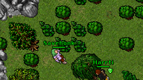 Savehonk on screen