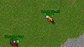 Bash Shell on screen