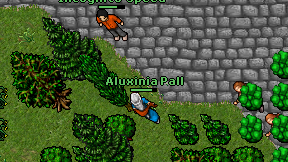 Aluxinia Pall on screen