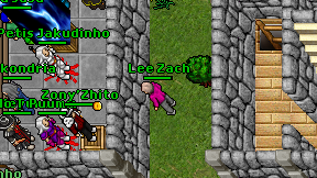 Lee Zach on screen