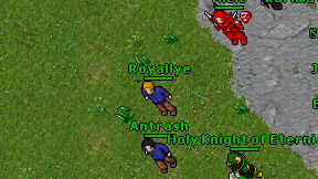 Royallye on screen