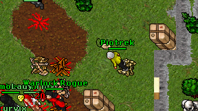 Piotrek on screen