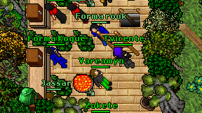Vareamyn on screen