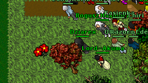 Dziarex on screen