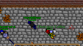 Neohibus on screen