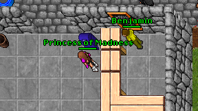 Princess of Madness on screen