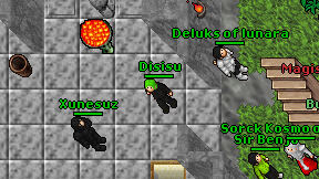 Disisu on screen