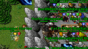 Mathi wizard on screen