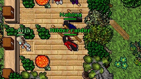 Hilder raider on screen
