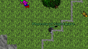 Phoenix of Nightmare on screen