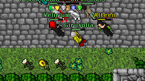 Girusolia on screen