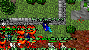 Trogdor-slayer on screen