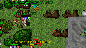 Gatekeeper of Zion on screen