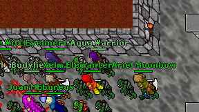 Aqua Warrior on screen