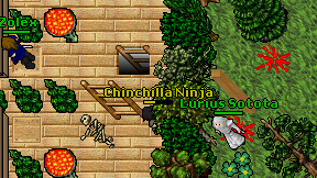 Chinchilla Ninja on screen