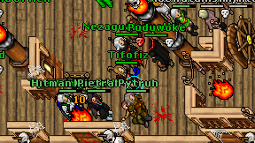 Tifofiz on screen
