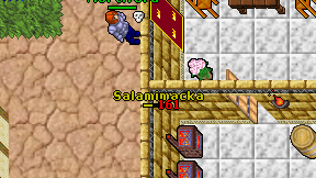 Salamimacka on screen