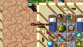 Cleanbrace on screen