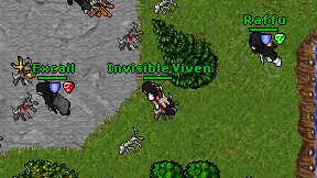 Invisible Viven on screen