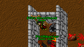 Elite Alexithoek on screen
