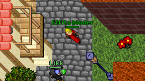 Elfita bloder on screen