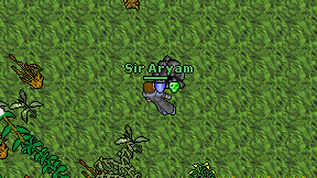 Sir Aryam on screen