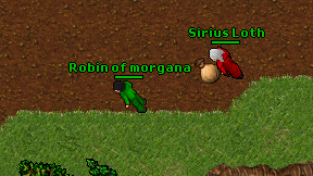 Robin of morgana on screen