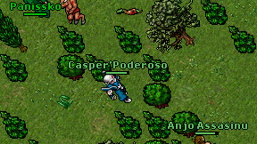 Panissko on screen