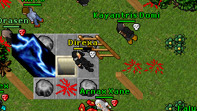 Direxa on screen