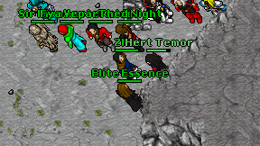 Elite Essence on screen