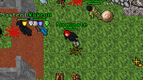 Mawipate on screen