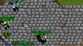 Hissingcid on screen