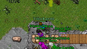 Tibo Kardo on screen