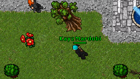Kayz Mardobi on screen