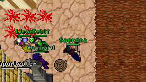 Saerdna on screen