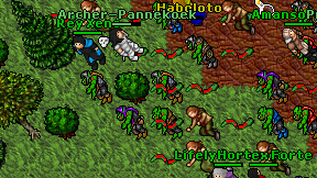 Archer-Pannekoek on screen