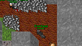 Forlani on screen
