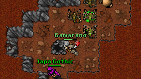 Gamarano on screen