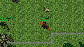 Taniz on screen